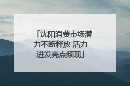 沈阳消费市场潜力不断释放 活力迸发亮点频现