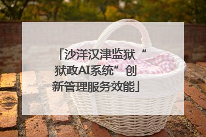 沙洋汉津监狱“狱政AI系统”创新管理服务效能