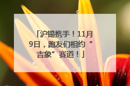 沪锡携手！11月9日，跑友们相约“吉象”赛道！