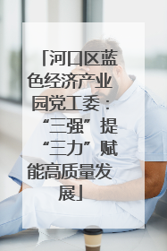 河口区蓝色经济产业园党工委：“三强”提“三力”赋能高质量发展