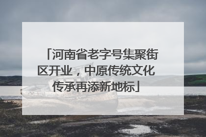 河南省老字号集聚街区开业，中原传统文化传承再添新地标