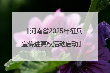 河南省2025年征兵宣传进高校活动启动