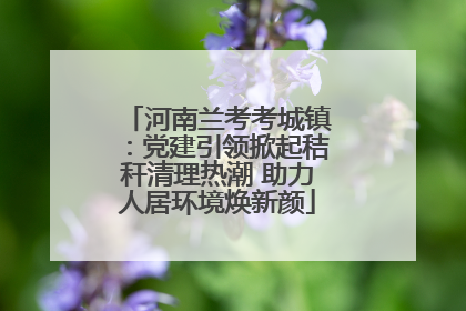 河南兰考考城镇：党建引领掀起秸秆清理热潮 助力人居环境焕新颜