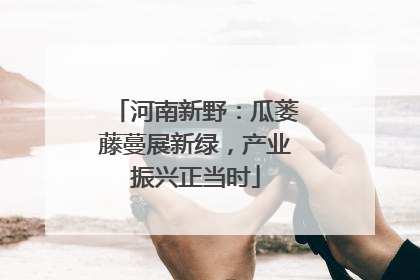 河南新野：瓜蒌藤蔓展新绿，产业振兴正当时