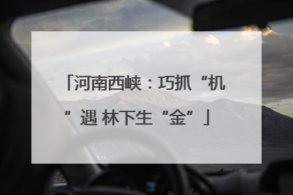 河南西峡：巧抓“机”遇 林下生“金”