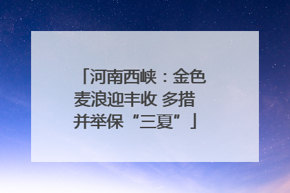 河南西峡：金色麦浪迎丰收 多措并举保“三夏”