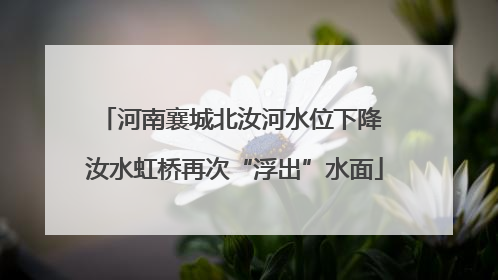 河南襄城北汝河水位下降 汝水虹桥再次“浮出”水面