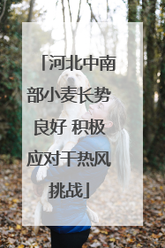 河北中南部小麦长势良好 积极应对干热风挑战