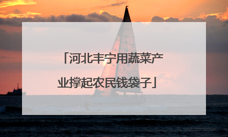 河北丰宁用蔬菜产业撑起农民钱袋子