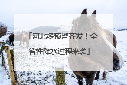 河北多预警齐发！全省性降水过程来袭