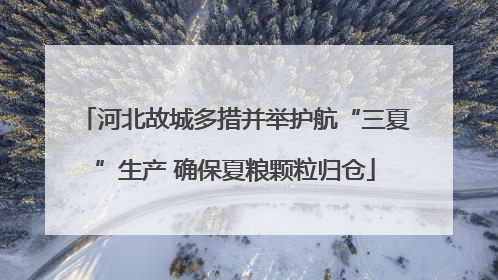 河北故城多措并举护航“三夏”生产 确保夏粮颗粒归仓