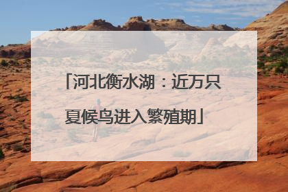 河北衡水湖：近万只夏候鸟进入繁殖期