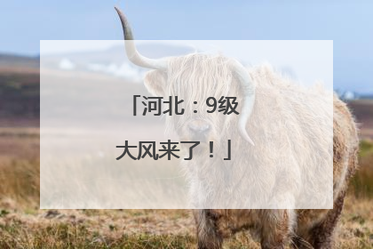 河北：9级大风来了！
