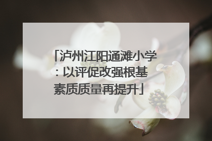 泸州江阳通滩小学：以评促改强根基 素质质量再提升