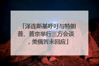 泽连斯基呼吁与特朗普、普京举行三方会谈，美俄暂未回应