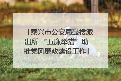 泰兴市公安局鼓楼派出所 “五廉举措”助推党风廉政建设工作
