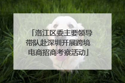 洛江区委主要领导带队赴深圳开展跨境电商招商考察活动