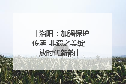 洛阳：加强保护传承 非遗之美绽放时代新韵