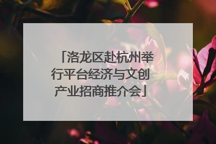 洛龙区赴杭州举行平台经济与文创产业招商推介会
