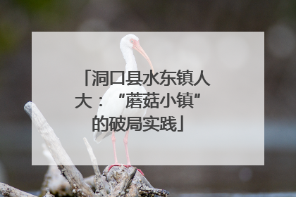 洞口县水东镇人大：“蘑菇小镇”的破局实践