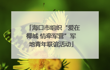 海口市组织“爱在椰城 情牵军营”军地青年联谊活动