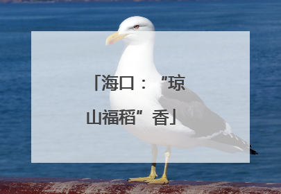 海口：“琼山福稻”香