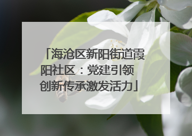 海沧区新阳街道霞阳社区：党建引领 创新传承激发活力