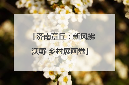 济南章丘：新风拂沃野 乡村展画卷