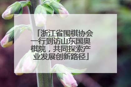 浙江省围棋协会一行到访山东国奥棋院，共同探索产业发展创新路径