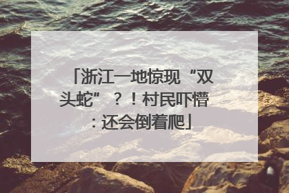 浙江一地惊现“双头蛇”？！村民吓懵：还会倒着爬