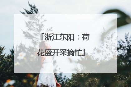 浙江东阳：荷花盛开采摘忙