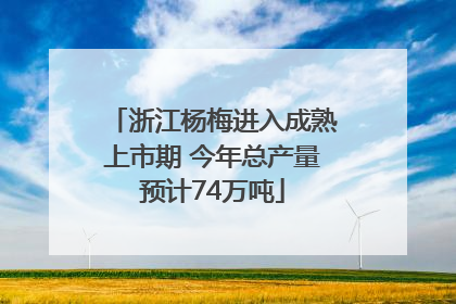 浙江杨梅进入成熟上市期 今年总产量预计74万吨