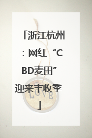 浙江杭州：网红“CBD麦田”迎来丰收季