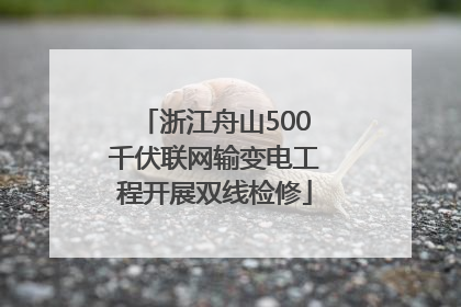 浙江舟山500千伏联网输变电工程开展双线检修