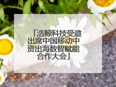 浩鲸科技受邀出席中国移动中资出海数智赋能合作大会