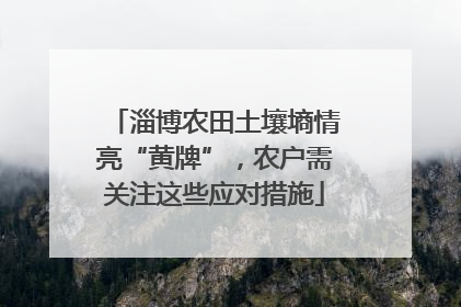 淄博农田土壤墒情亮“黄牌”，农户需关注这些应对措施