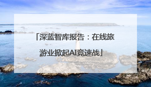 深蓝智库报告：在线旅游业掀起AI竞速战
