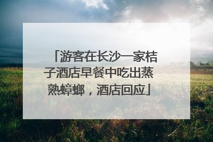 游客在长沙一家桔子酒店早餐中吃出蒸熟蟑螂，酒店回应