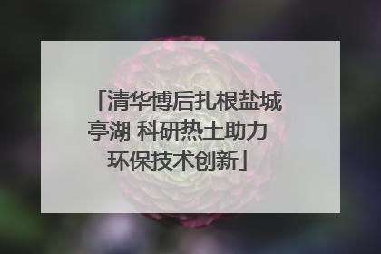 清华博后扎根盐城亭湖 科研热土助力环保技术创新