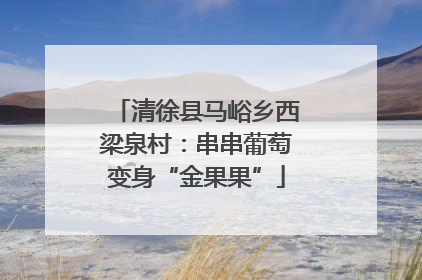 清徐县马峪乡西梁泉村：串串葡萄变身“金果果”