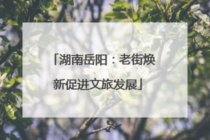 湖南岳阳：老街焕新促进文旅发展