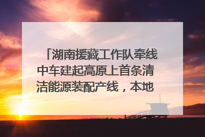 湖南援藏工作队牵线中车建起高原上首条清洁能源装配产线，本地大学生成车间检验员