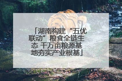 湖南构建“五优联动”粮食全链生态 千万亩粮源基地夯实产业根基