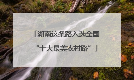 湖南这条路入选全国“十大最美农村路”