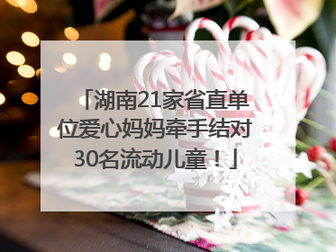 湖南21家省直单位爱心妈妈牵手结对30名流动儿童！