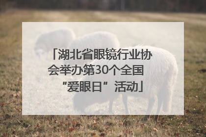 湖北省眼镜行业协会举办第30个全国“爱眼日”活动