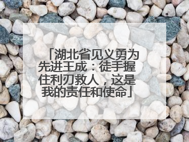 湖北省见义勇为先进王成：徒手握住利刃救人，这是我的责任和使命