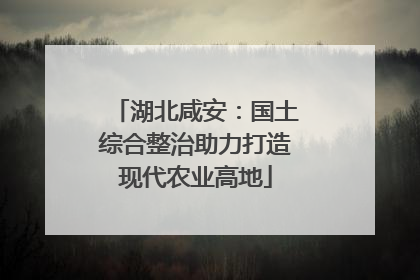 湖北咸安：国土综合整治助力打造现代农业高地
