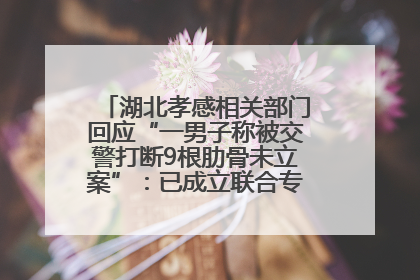 湖北孝感相关部门回应“一男子称被交警打断9根肋骨未立案”：已成立联合专班开展工作