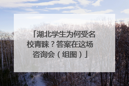 湖北学生为何受名校青睐？答案在这场咨询会（组图）